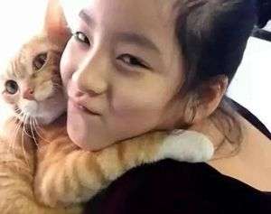 什么性格的人喜歡貓